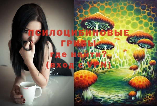 скорость Баксан