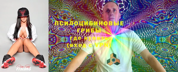 стаф Балахна