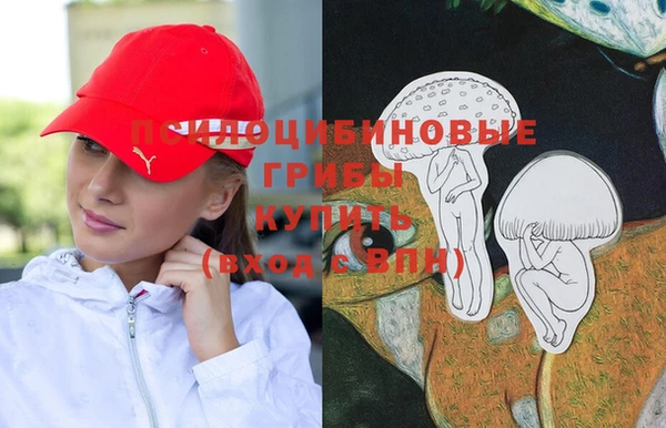 скорость Баксан