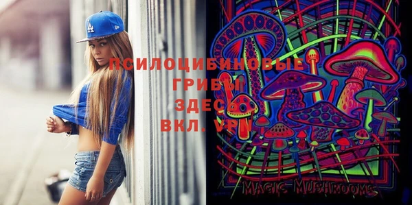 скорость Баксан