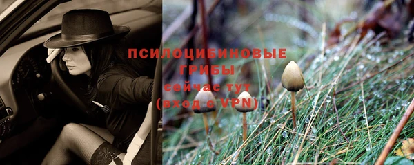 стаф Балахна