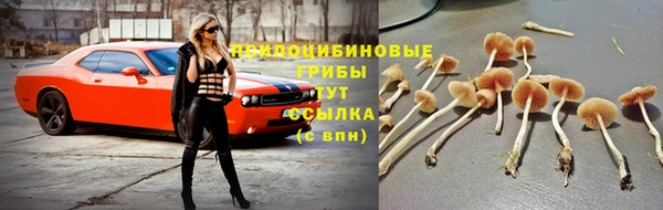 скорость Баксан