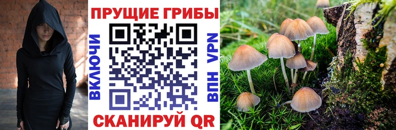 Галлюциногенные грибы Magic Shrooms  как найти закладки  Афипский 